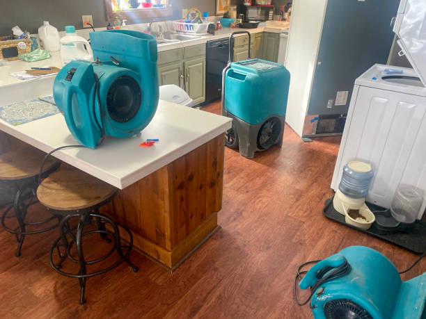 Best Basement water damage restoration  in Alva, OK