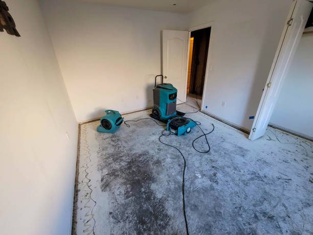 Best Emergency water damage restoration  in Alva, OK