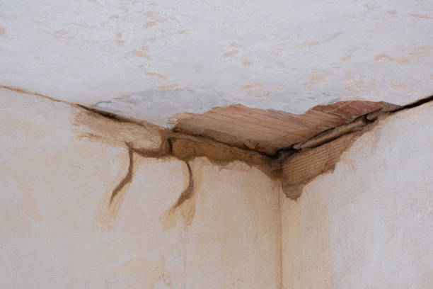 Best Water damage restoration process  in Alva, OK