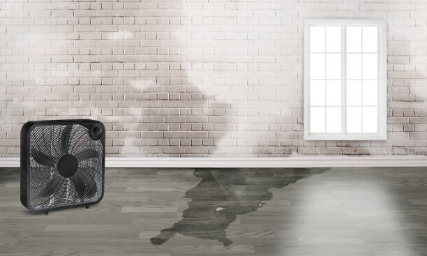 Best Commercial water damage restoration  in Alva, OK