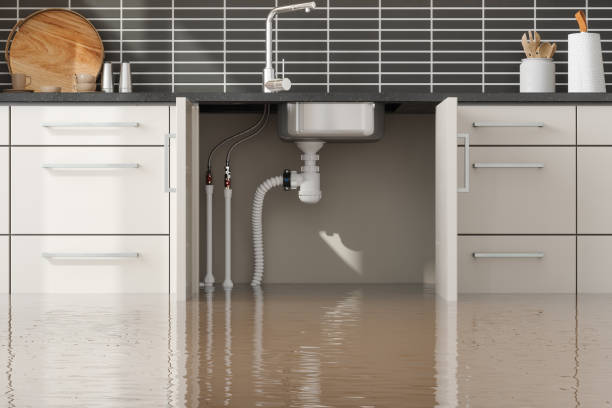 Best Flood damage cleanup  in Alva, OK