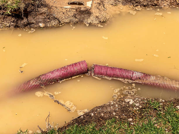 Best 24/7 water damage repair  in Alva, OK